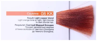 Тонирующий безаммиачный гелевый краситель — Redken Shades EQ Gloss 08KK Cayenne (Светлый блондин глубокий медный) 60 ml